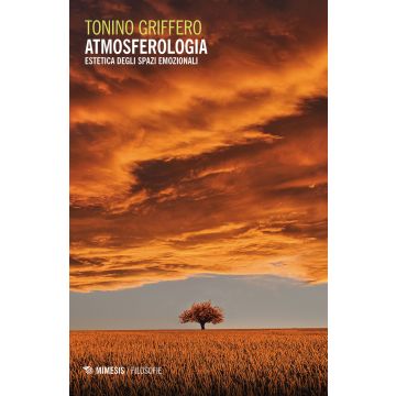 Atmosferologia. Estetica degli spazi emozionali