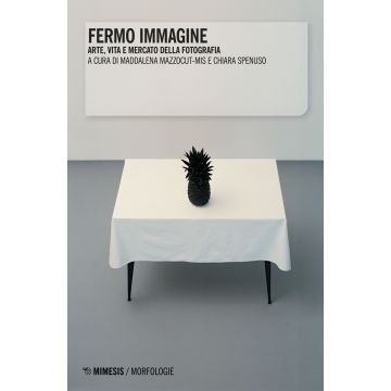 Fermo immagine. Arte, vita e mercato della fotografia