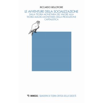 Le avventure della socializzazione. Dalla teoria monetaria del valore alla teoria macro-monetaria della produzione capitalistica