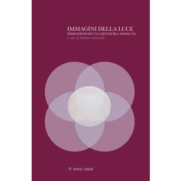 Immagini della luce. Dimensioni di una metafora assoluta