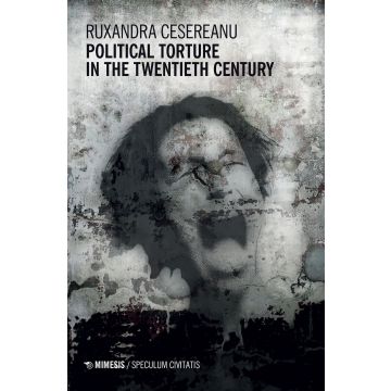 Political torture in the twentieth century