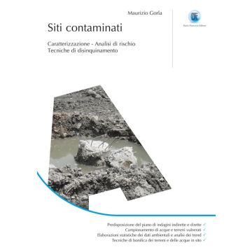 Siti contaminati. Caratterizzazione. Analisi di rischio. Tecniche di disinquinamento. Ediz. illustrata
