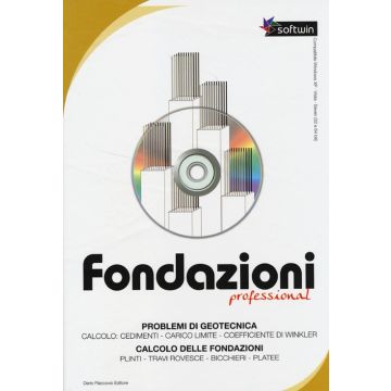Fondazioni professional. CD-ROM. Con libro