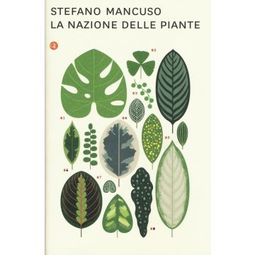 La nazione delle piante