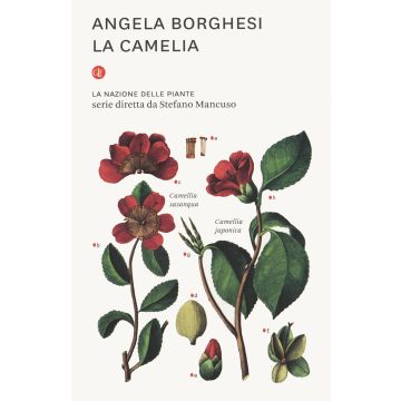 La camelia. La nazione delle piante