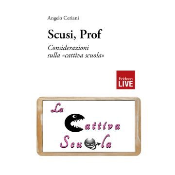 Scusi, prof. Considerazioni sulla «cattiva scuola»