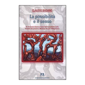 La possibilità e il senso. Un itinerario intorno al tema della possibilità nella filosofia del pensiero: Meinong, Husserl, Wittgenstein
