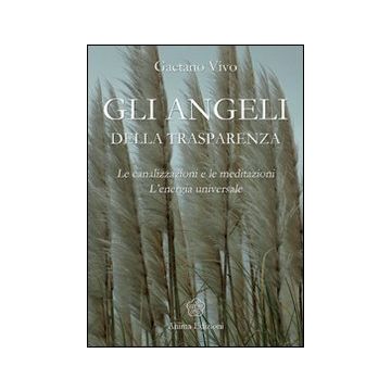 Angeli della trasparenza. Le canalizzazioni e le meditazioni. L'energia universale
