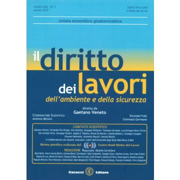 Il diritto dei lavori dell'ambiente e della sicurezza (2019). Vol. 2