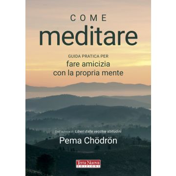 Come meditare. Guida pratica per fare amicizia con la propria mente