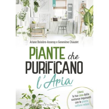 Piante che purificano l'aria