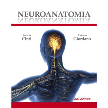 Neuroanatomia. Ediz. illustrata