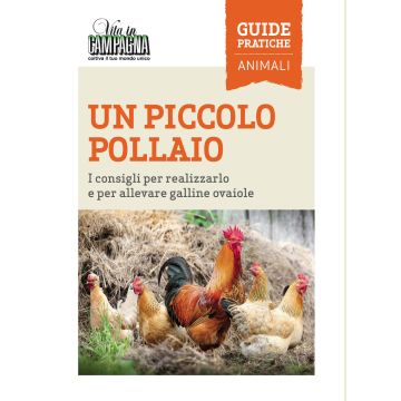 Un piccolo pollaio. I consigli per realizzarlo e per allevare galline ovaiole