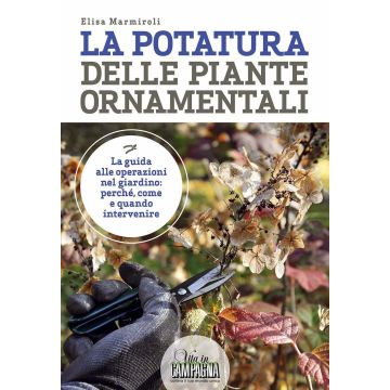 La potatura delle piante ornamentali