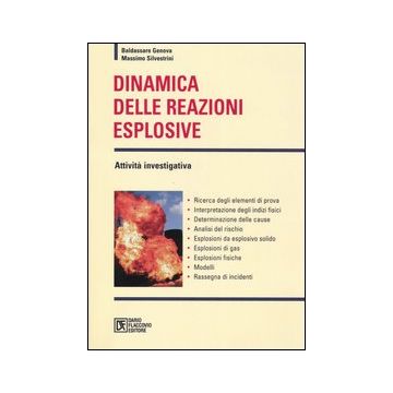 Dinamica delle reazioni esplosive. Attività investigativa
