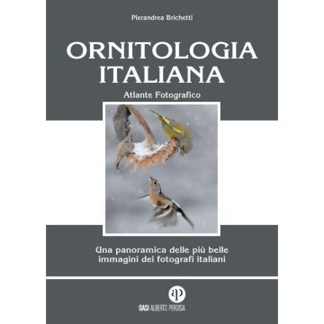 Ornitologia italiana atlante fotografico brichetti pierandrea alberto perdisa editore