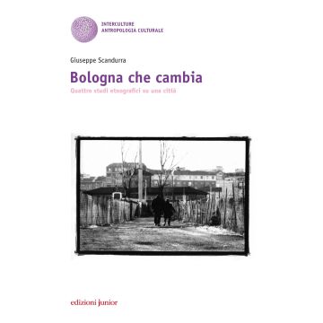Bologna che cambia. Quattro studi etnografici su una città