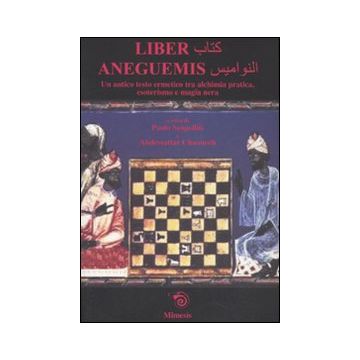 Liber Aneguemis