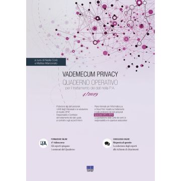Vademecum Privacy. Quaderno operativo per il trattamento dei dati nella PA (2019). Vol. 4