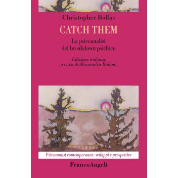 Catch them. La psicoanalisi del breakdown psichico