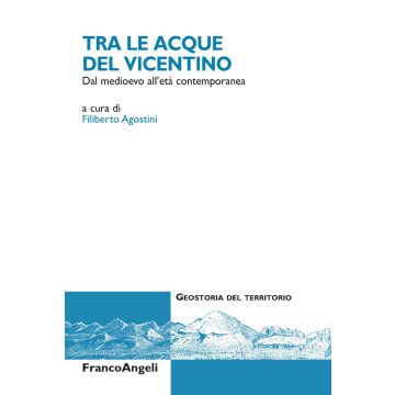 Tra le acque del Vicentino. Dal medioevo all'età contemporanea