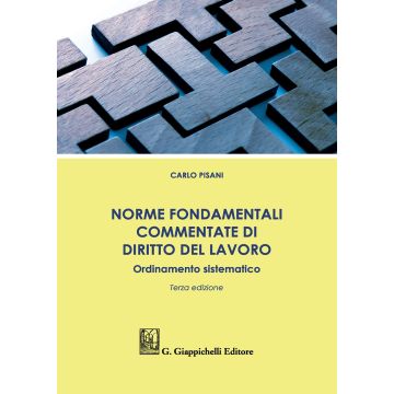 Norme fondamentali commentate di diritto del lavoro. Ordinamento sistematico