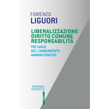 Liberalizzazione diritto comune responsabilità. Tre saggi del cambiamento amministrativo