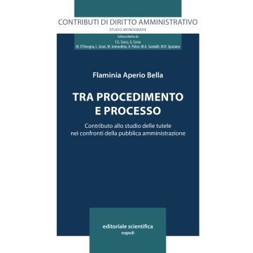 Tra procedimento e processo. Contributo allo studio delle tutele nei confronti delle pubblica amministrazione
