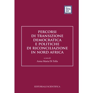 Percorsi di transizione democratica e politiche di riconciliazione in Nord Africa