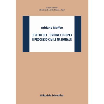 Diritto dell'Unione europea e processo civile nazionale