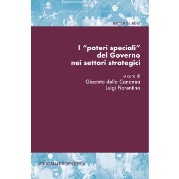 I «poteri speciali» del Governo nei settori strategici