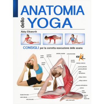Anatomia dello yoga. Consigli per la corretta esecuzione delle asana. Ediz. a colori