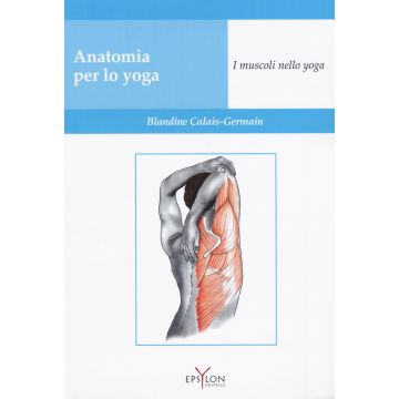 Anatomia per lo yoga. I muscoli nello yoga