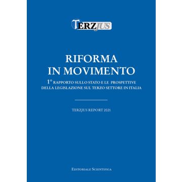 Riforma in movimento. 1° Rapporto sullo stato e le prospettive della legislazione sul terzo settore in Italia