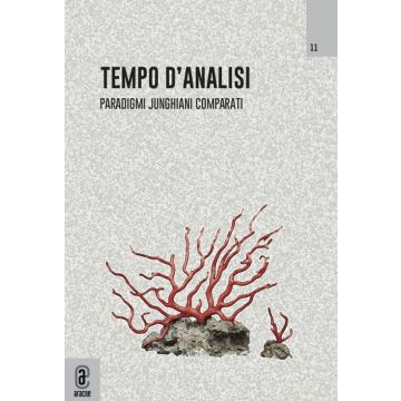 Tempo d'analisi. Paradigmi junghiani comparati. Rivista di psicologia del profondo. Vol. 11