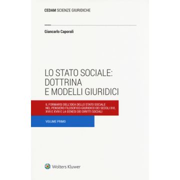 Lo stato sociale: dottrina e modelli giuridici. Vol. 1: Il formarsi dell'idea dello stato sociale nel pensiero filosofico-giuridico dei secoli XVI, XVII e XVIII e la genesi dei diritti sociali