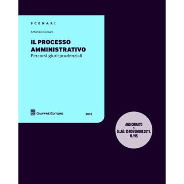 Il processo amministrtivo. Percorsi giurisprudenziali
