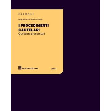 I procedimenti cautelari. Questioni processuali