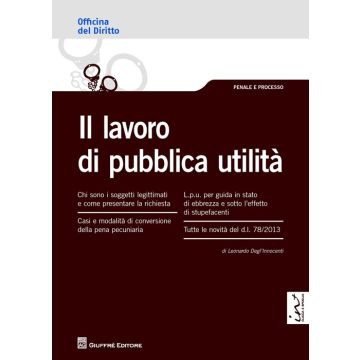 Il lavoro di pubblica utilità