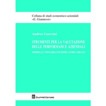 Strumenti per la valutazione delle performance aziendali. Modelli contabili ed indicatori chiave