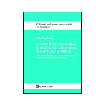 La componente immateriale e organizzativa del sistema di controllo aziendale. Una proposta di analisi e misurazione delle condizioni di efficacia