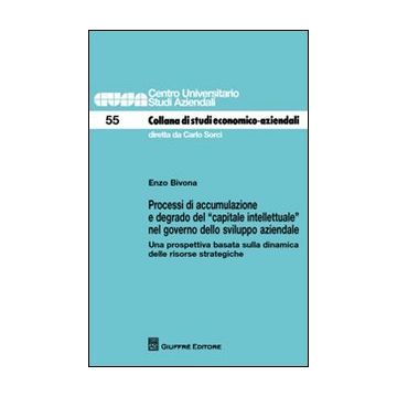 Processi di accumulazione e degrado del «capitale intellettuale» nel governo dello sviluppo aziendale. Una prospettiva basata sulla dinamica delle risorse strategich