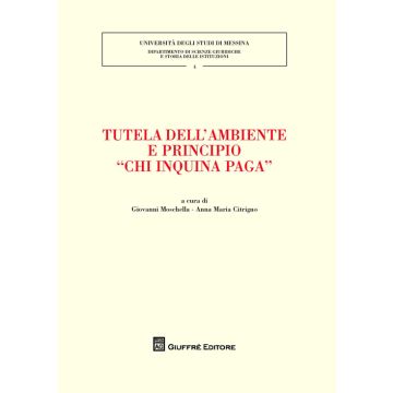 Tutela dell'ambiente e principio «chi inquina paga»