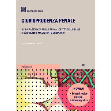 Giurisprudenza penale 2017