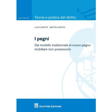 I pegni. Dal modello tradizionale al nuovo pegno mobiliare non possessorio