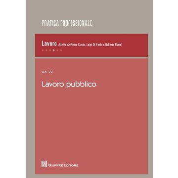 Lavoro pubblico