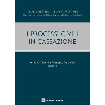 I processi civili in Cassazione