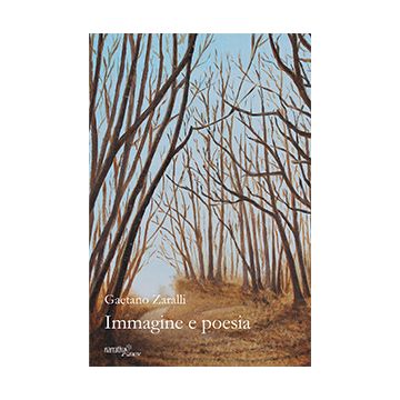 Immagine e poesia