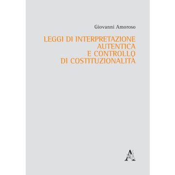 Leggi di interpretazione autentica e controllo di costituzionalità