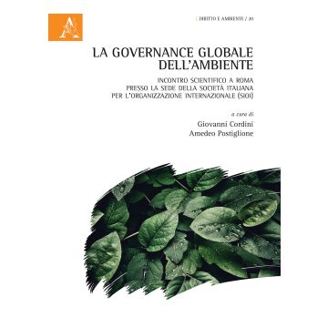 La governance globale dell'ambiente. Incontro scientifico a Roma presso la sede della Società Italiana per l'Organizzazione Internazionale (SIOI)